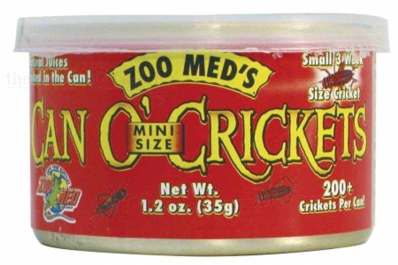 Can O' Crickets Mini Size (200/can) 35 g